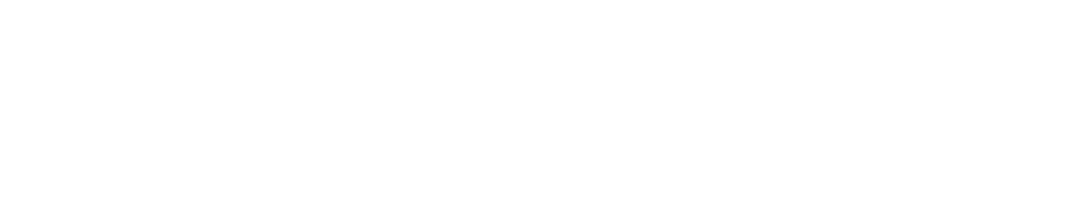 Village X